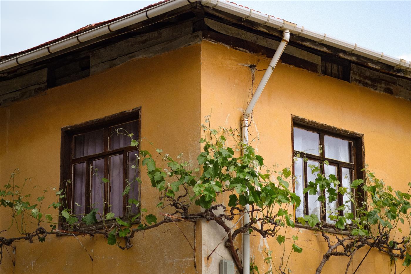 Gutter and downspout formed to the roofline at a home's corner
