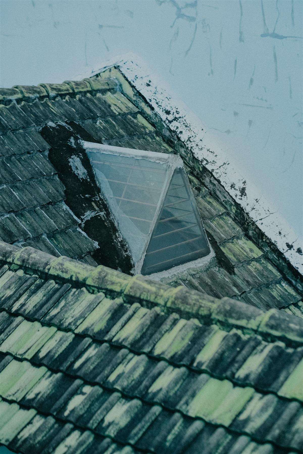 Aging skylight on a mossy tile roof showing wear from sun and weather