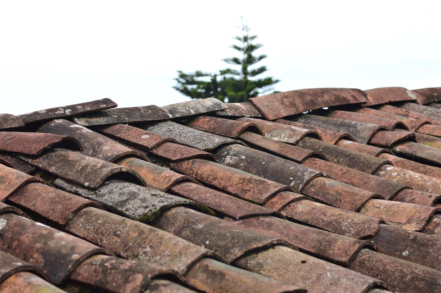 Aging roof being assessed as a candidate for a protective coating in Jacksonville
